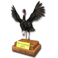 Thanksgiving special 2014