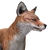 Red Fox