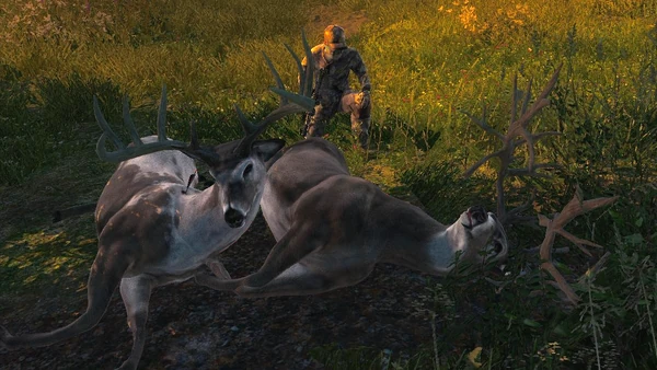 Buckshot122314 two rare wt