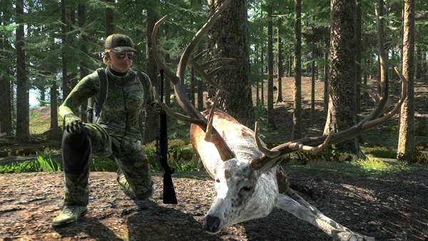 Talonpineapple piebald elk 401