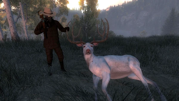 BotitheHunter rares 1