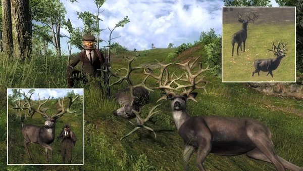 Cheesekiller rares 2