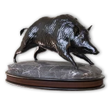 Wild Boar