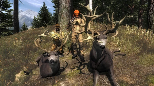 Ardillamente rares 4