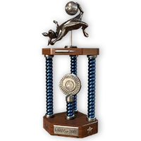 Worldcup 2018 silver