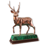 Rusa Deer