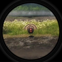 2x crossbow pistol reticle