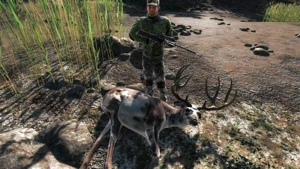 Deadeyemcgraw454 piebald mule 213