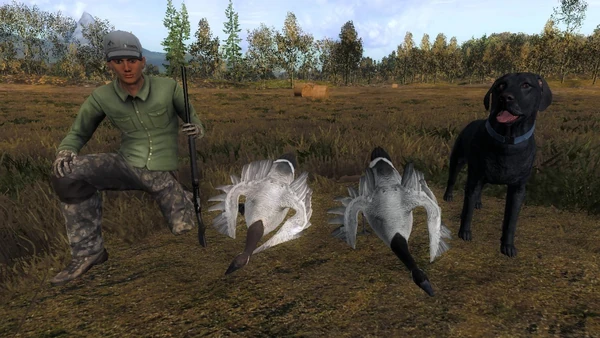 Connor308 rares 1