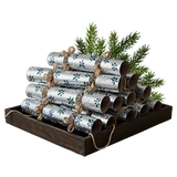 Christmas 2025 silver