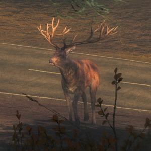 the hunter call of the wild diamond red deer