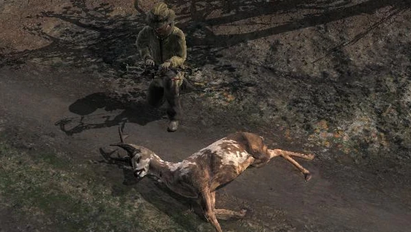 Aleksi1235 piebald roe 260