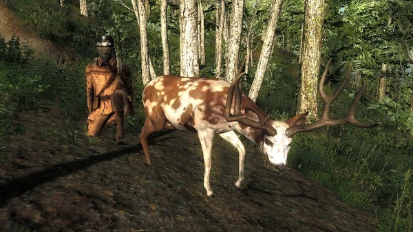 Bonedigger777 rares 2