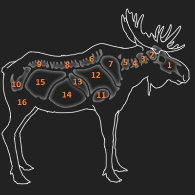 Moose, TheHunter: Call of the Wild Wiki