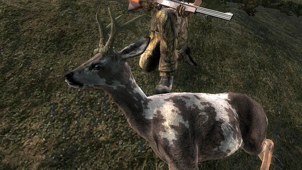 Pupic piebald roe 248