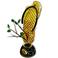 Flip flop 2023 mission