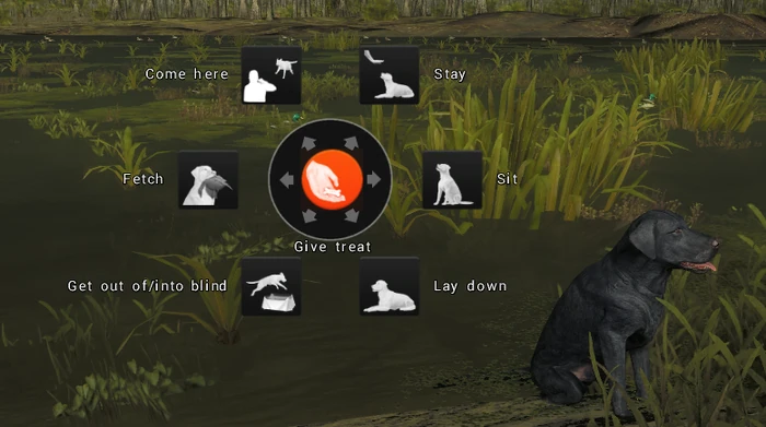 Dog command wheel.png