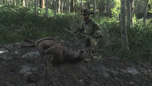 Mrerikeepperi melanistic nt wt