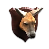 SummerFiesta 2016 RedKangaroo