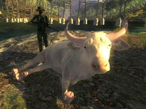 Banteng, TheHunter: Call of the Wild Wiki