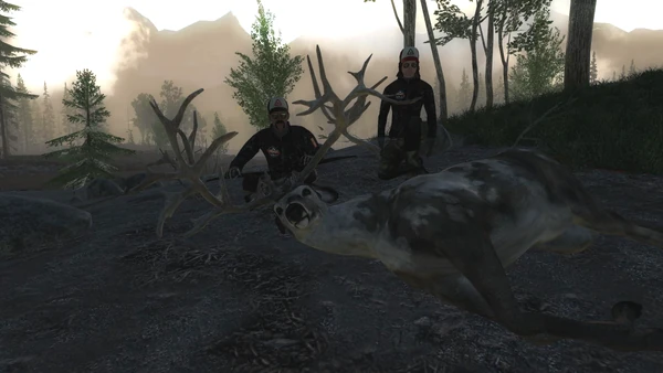 Simoilanen1343 rares 1