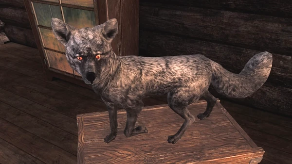 JackRbbt rares 1
