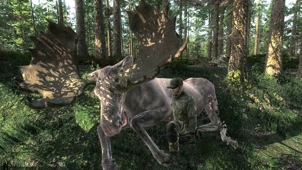 McLemmy albino moose 217