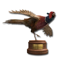 Pheasant original gold
