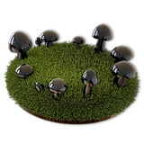 St Patricks 2023 hematite