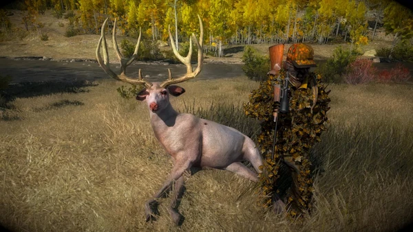 Satellizer albino mule 224