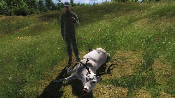 MaxGaming211 rares 1