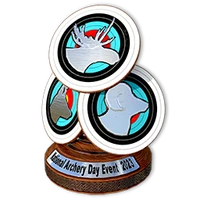 Nad 2023 comp silver