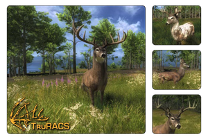 Species whitetail deer 700