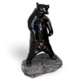 Black Bear
