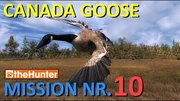 TheHunter_Canada_Goose_Mission_10