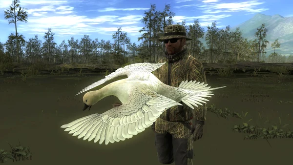 Monari leucistic pintail 1354