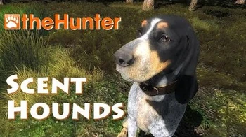 Scent_Hounds_-_theHunter_2016