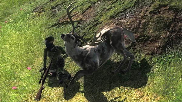 Andyka20 piebald whitetail 186