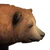 Grizzly Bear