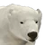 Polar Bear (no rares)