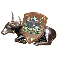 Field trophy pbb silver