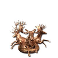 Regular comps bronze