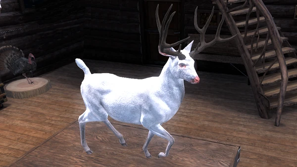 BCKidd albino blacktail 195