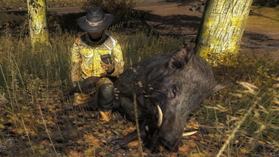 Trophy wildboar