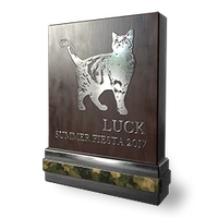 Summerfiesta luck silver