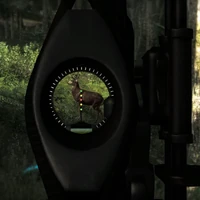 Compound bow sight closeup
