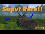 Sambar_Deer_SUPER_RARE!!_-_TheHunter_Classic