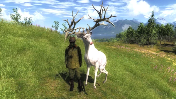 Reindeer flotilla rares 1