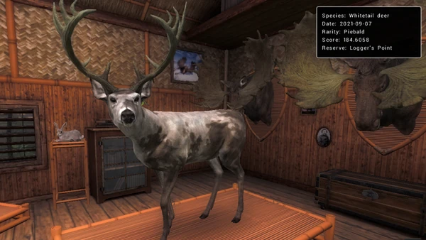 ZukaTheHunter rares 1