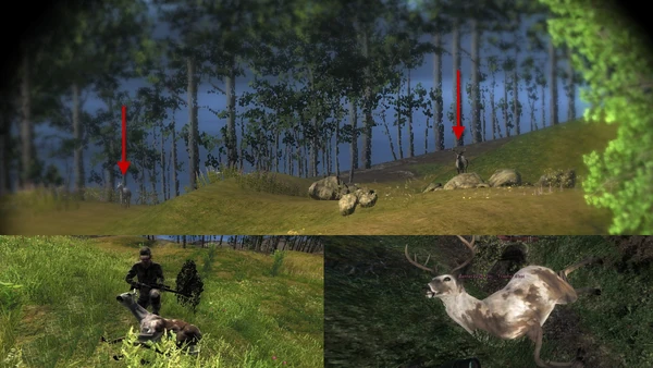 Cjaguy2002 two piebald wt